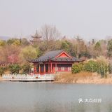 地理位置： 南京梅花山 就在紫金山上 整个紫金山景点