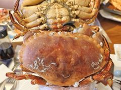 -Mr.Fish鱼鲜生海鲜放题(高德置地冬广场店)