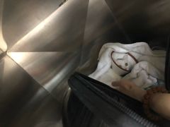 -创凡宠物医院·骨专科  猫科中心(西乡分院)