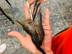 -SHRIMP CLUB万东餐饮钓虾·清吧