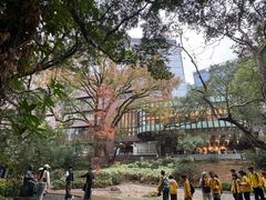 -香港大学