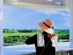 -东寨港红树林旅游区