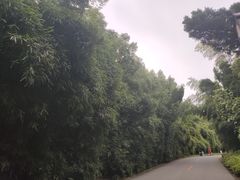 -九龙潭景区