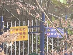 -幕燕滨江·长江观音景区