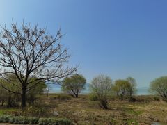 -东山风景区(洞庭东山)