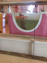 -喜宝母婴月子会所