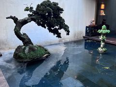 -觀芷隐轩