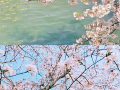 -杭州植物园