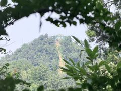 -青龙山国家森林公园