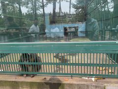 -秦皇岛野生动物园