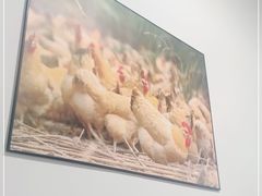 -华仔土鸡店(南洲分店)
