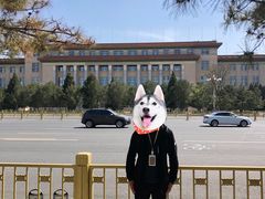 -人民大会堂