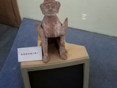 -古陶文明博物馆