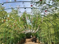 -陶祖圣境风景区