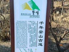 -北京鹫峰国家森林公园