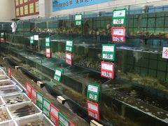 水产区-海岛渔村大酒店(云霄路店)