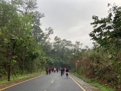 -深圳仙湖植物园