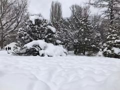 -北海道厅旧本厅舍(旧本庁舎)