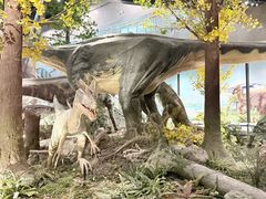 -湖南省地质博物馆