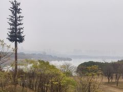 -盘龙城遗址博物院