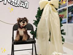 -开元商城(西旺店)