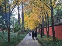 -成都武侯祠博物馆