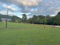 -奈良公园