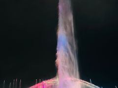 -秋水广场音乐喷泉