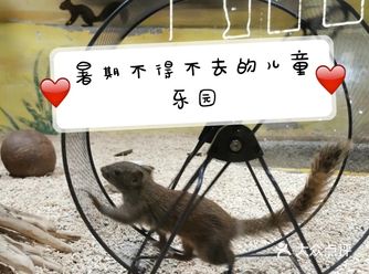 深圳西乡适合带娃放电的儿童乐园推荐