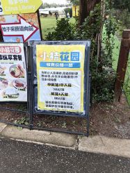 -前小桔亲子创意农场·草莓采摘·露营烧烤