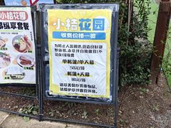 -前小桔亲子创意农场·草莓采摘·露营烧烤