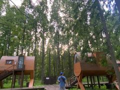 -黄海国家森林公园