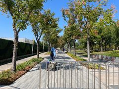 -上海山野camping·户外天幕烧烤·团建拓展营地