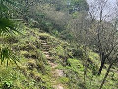-都江堰普照寺