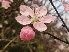 -长广溪湿地公园