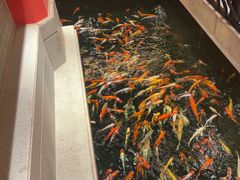 -龙悦湾酒家·八阵鱼生·渔人码头店