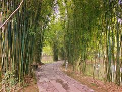 -浙江大学(紫金港校区)
