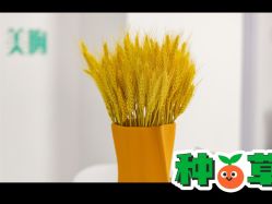 -梦斯绮塑美中心(通州富力星光店)