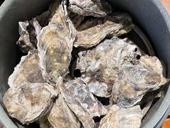 -蚝英雄·鲜蚝自助专门店