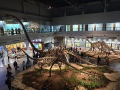 -自贡恐龙博物馆