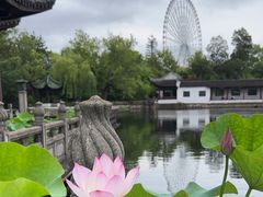 -无锡蠡湖国家湿地公园-蠡园