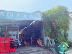 -大树下饭店(春晓镇慈岙社区卫生服务站南)
