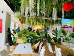 -Husky Go! 哈士奇体验馆·宠物咖啡厅狗咖