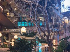 -桂满陇·海市蜃楼·黑金(国金店)