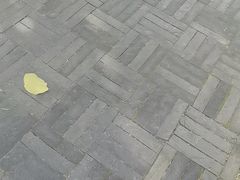 -惠州西湖风景名胜区-丰渚园