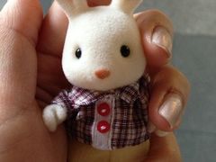 iphone_upload_pic-TOYSRUS玩具反斗城(深圳万象城店)