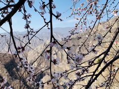 -圣莲山风景区
