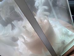 -LILYCAT莉莉凯特生日婚礼庆典蛋糕店(学士街店)