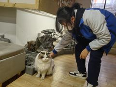 -白兔子密室(长寿路店)