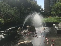 -北京希尔顿逸林酒店